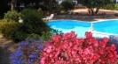 Villas for rent Capri