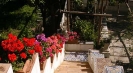 Rental villa in Italy