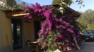 Sant'Agata sui due Golfi villas for rent Villa Viola, apartments vacation rentals Sant'Agata sui due Golfi: Villa Viola holiday in Amalfi Coast