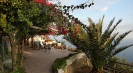 Villas for rent in Italy by the sea