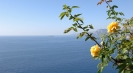 Case in affitto Praiano