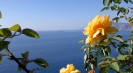 Ville in affitto in Italia