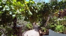 Italian holiday villa