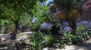 Italian rental villa