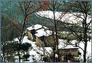 italy rental villa