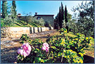 villa for rent in italy