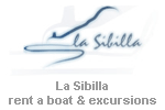villa for rent