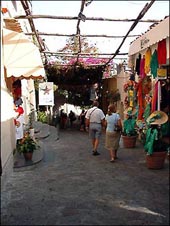 Prodotti tipici di Positano